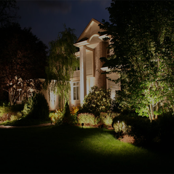 brightest flood light for backyard