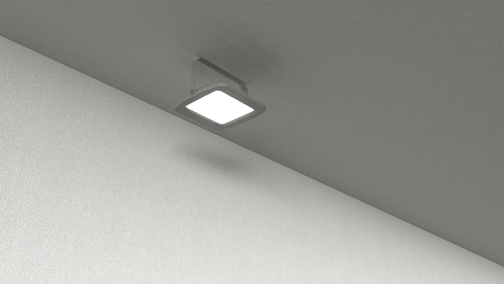 ceiling flood light
