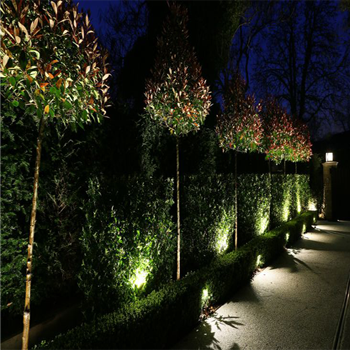 outdoor garden flood lights