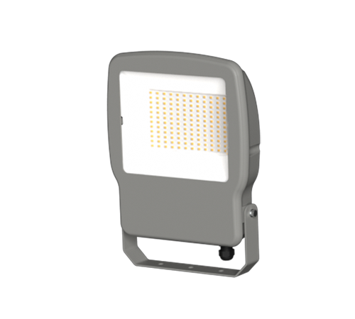 100w floodlight with pir