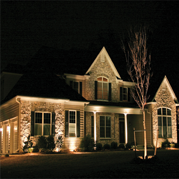 backyard flood light