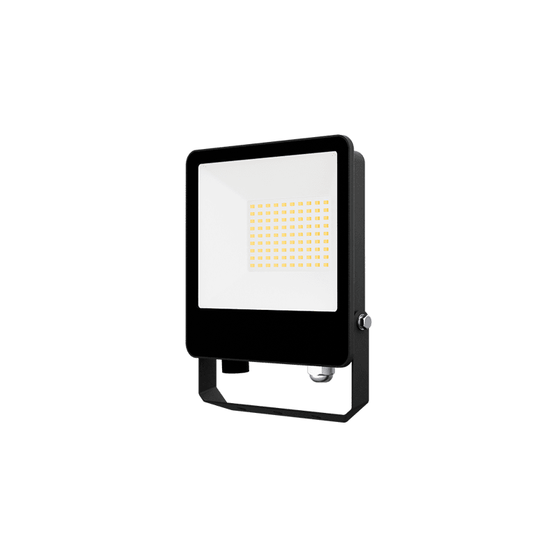 product-1-1 50 watt led flood light