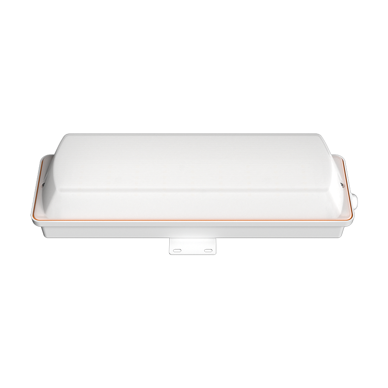 10w tri-proof light
