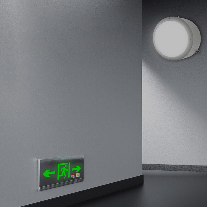 product-1-1 emergency wall pack