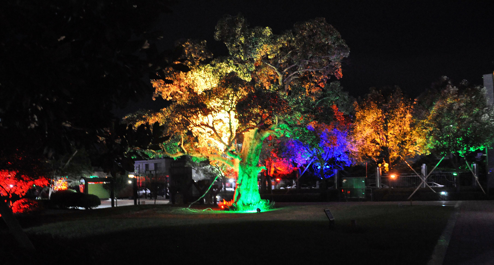 best landscape spotlights