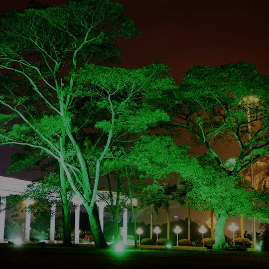 outdoor uplights for trees